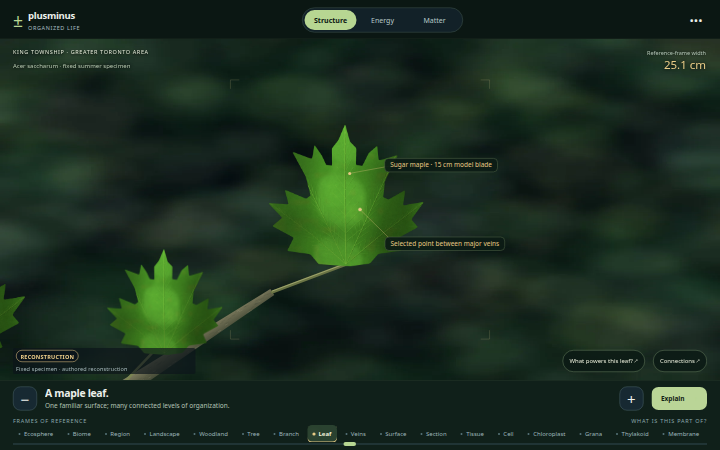 plusminus Organized Life explorer with its reconstructed leaf and investigation controls